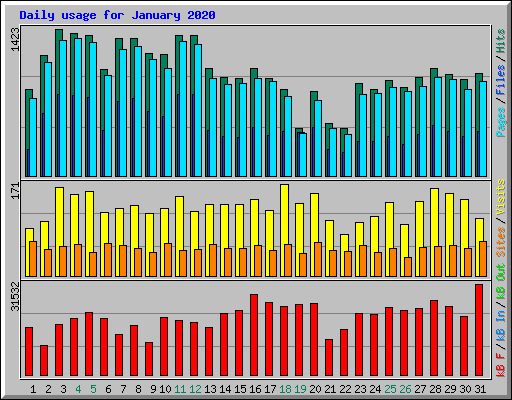 Daily usage for January 2020
