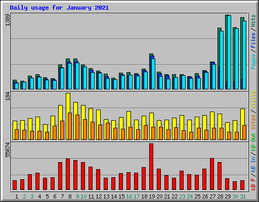 Daily usage for January 2021
