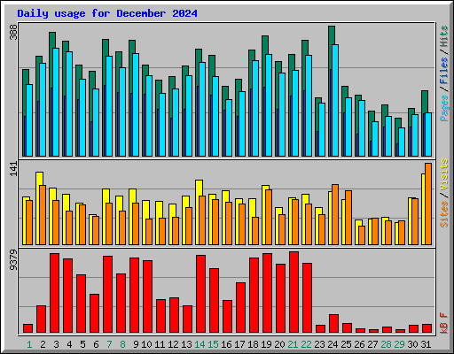 Daily usage for December 2024