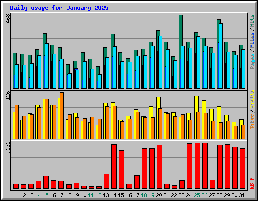 Daily usage for January 2025