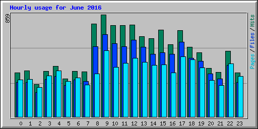 Hourly usage for June 2016