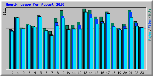 Hourly usage for August 2016
