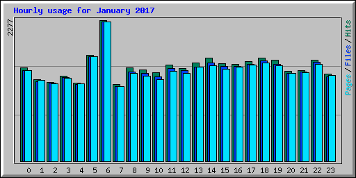Hourly usage for January 2017