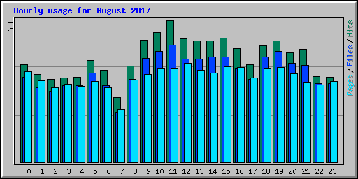 Hourly usage for August 2017