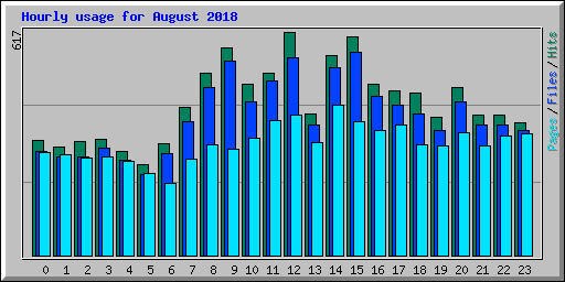 Hourly usage for August 2018