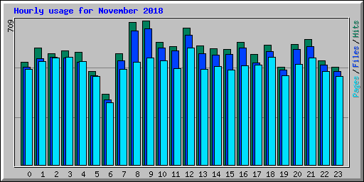 Hourly usage for November 2018