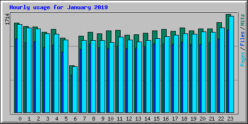 Hourly usage for January 2019