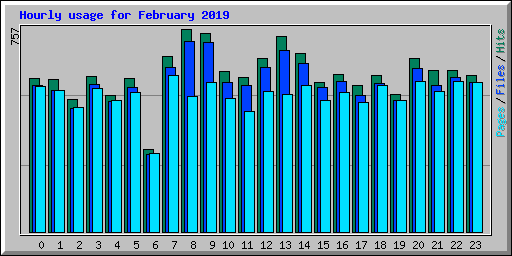 Hourly usage for February 2019