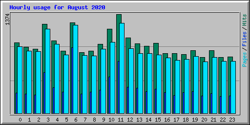 Hourly usage for August 2020
