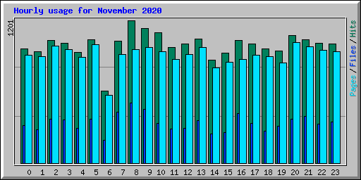 Hourly usage for November 2020