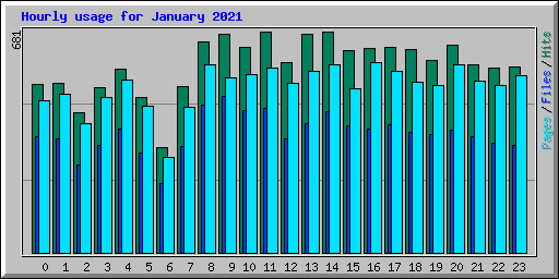 Hourly usage for January 2021
