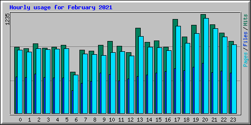 Hourly usage for February 2021
