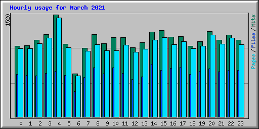 Hourly usage for March 2021