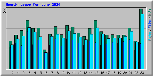 Hourly usage for June 2024
