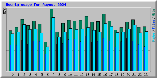 Hourly usage for August 2024