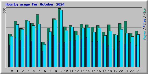Hourly usage for October 2024