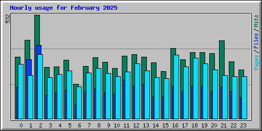 Hourly usage for February 2025