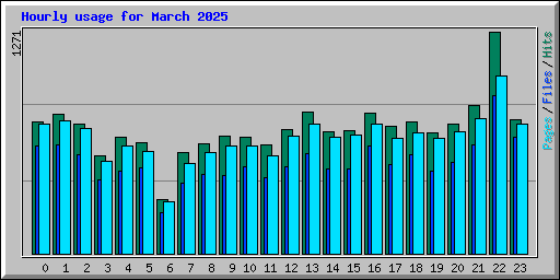 Hourly usage for March 2025