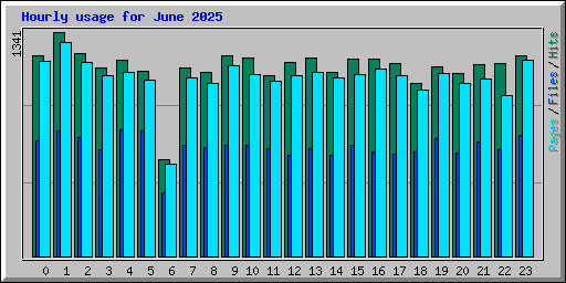 Hourly usage for June 2025