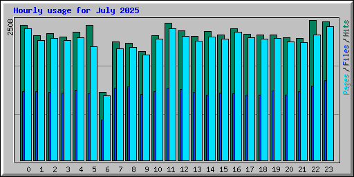 Hourly usage for July 2025