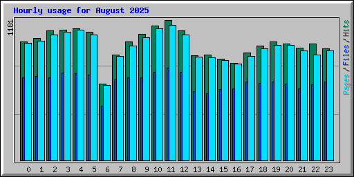 Hourly usage for August 2025